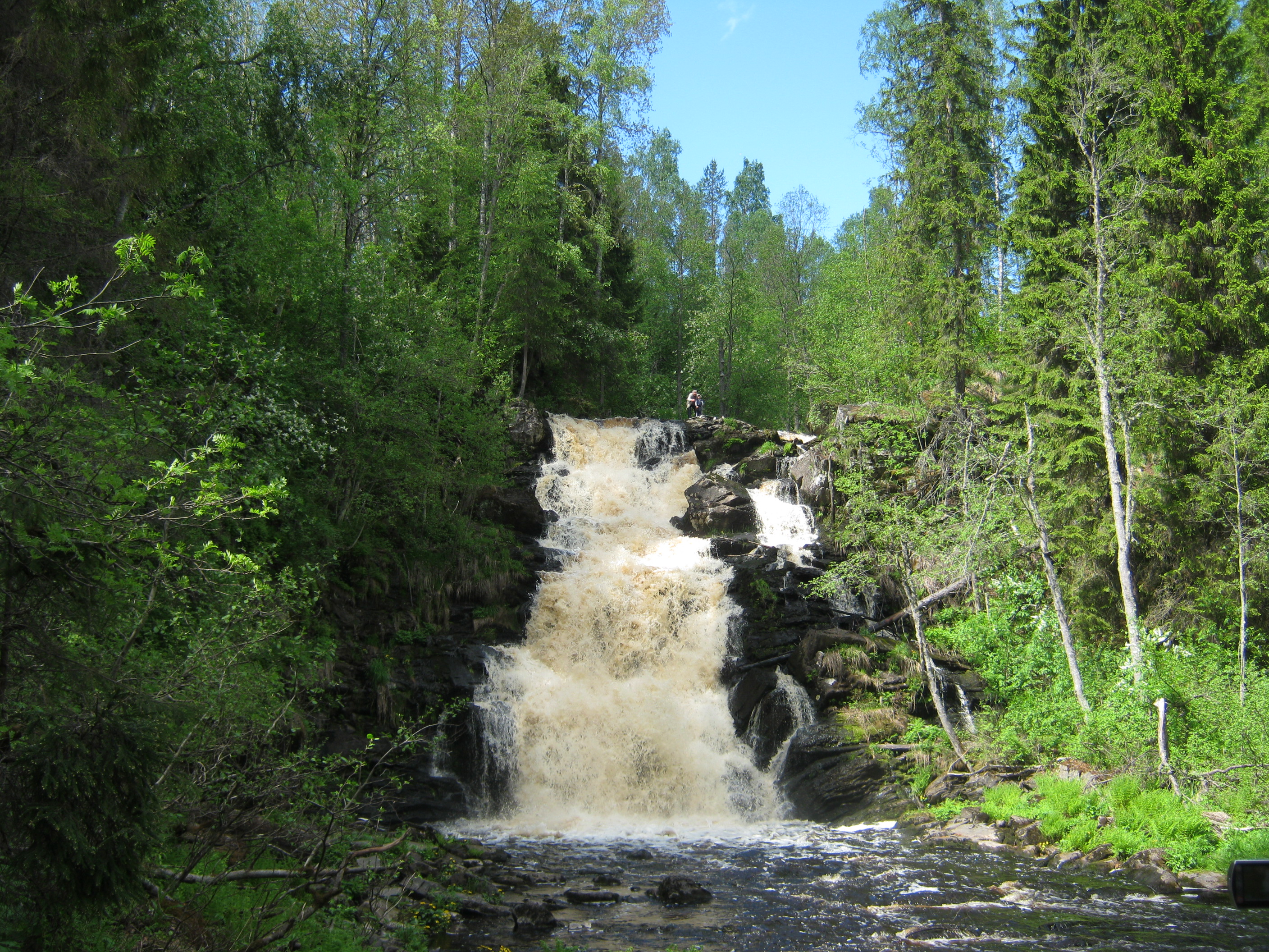 ________2011______086.jpg