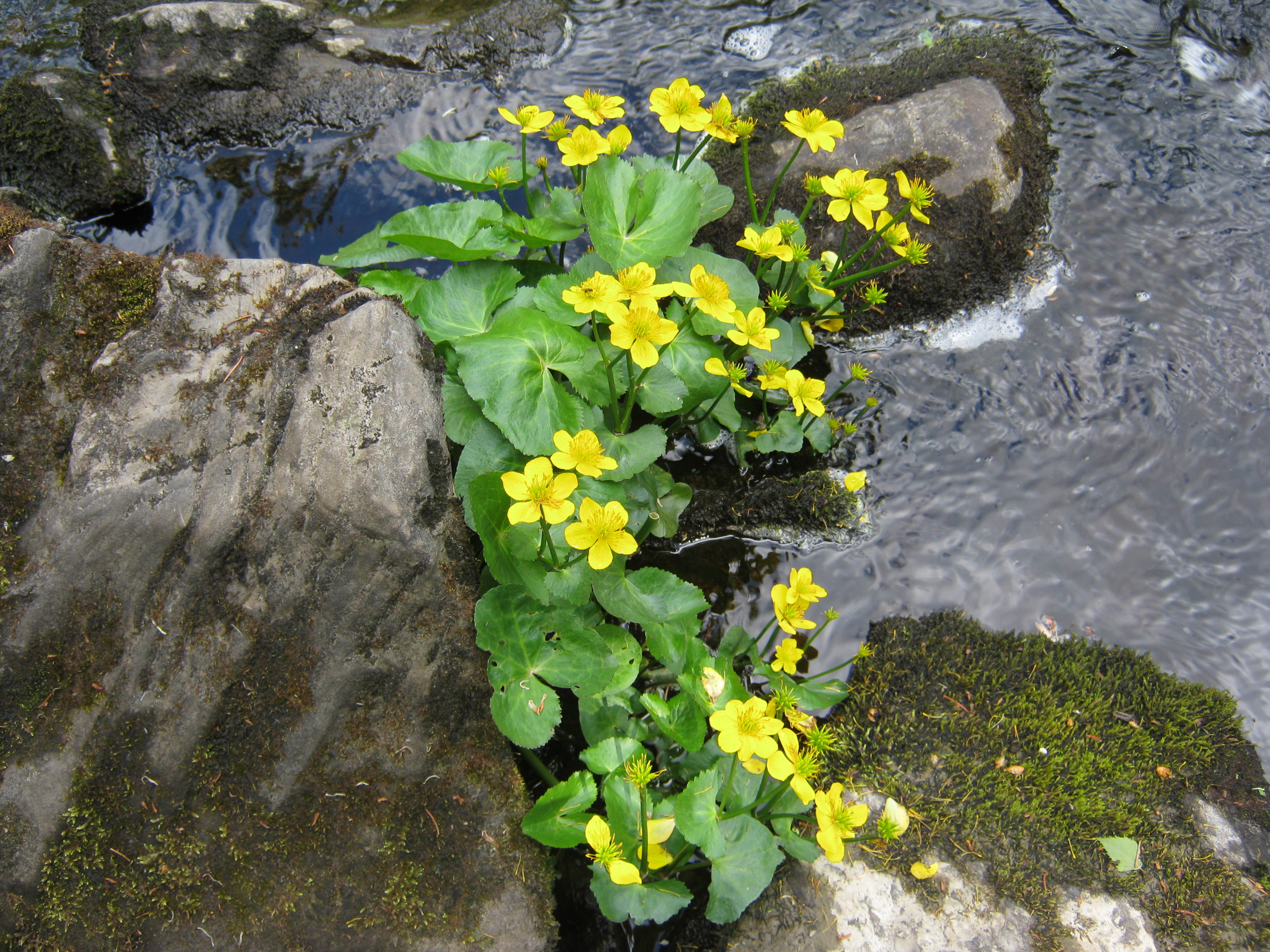 ________2011______072.jpg