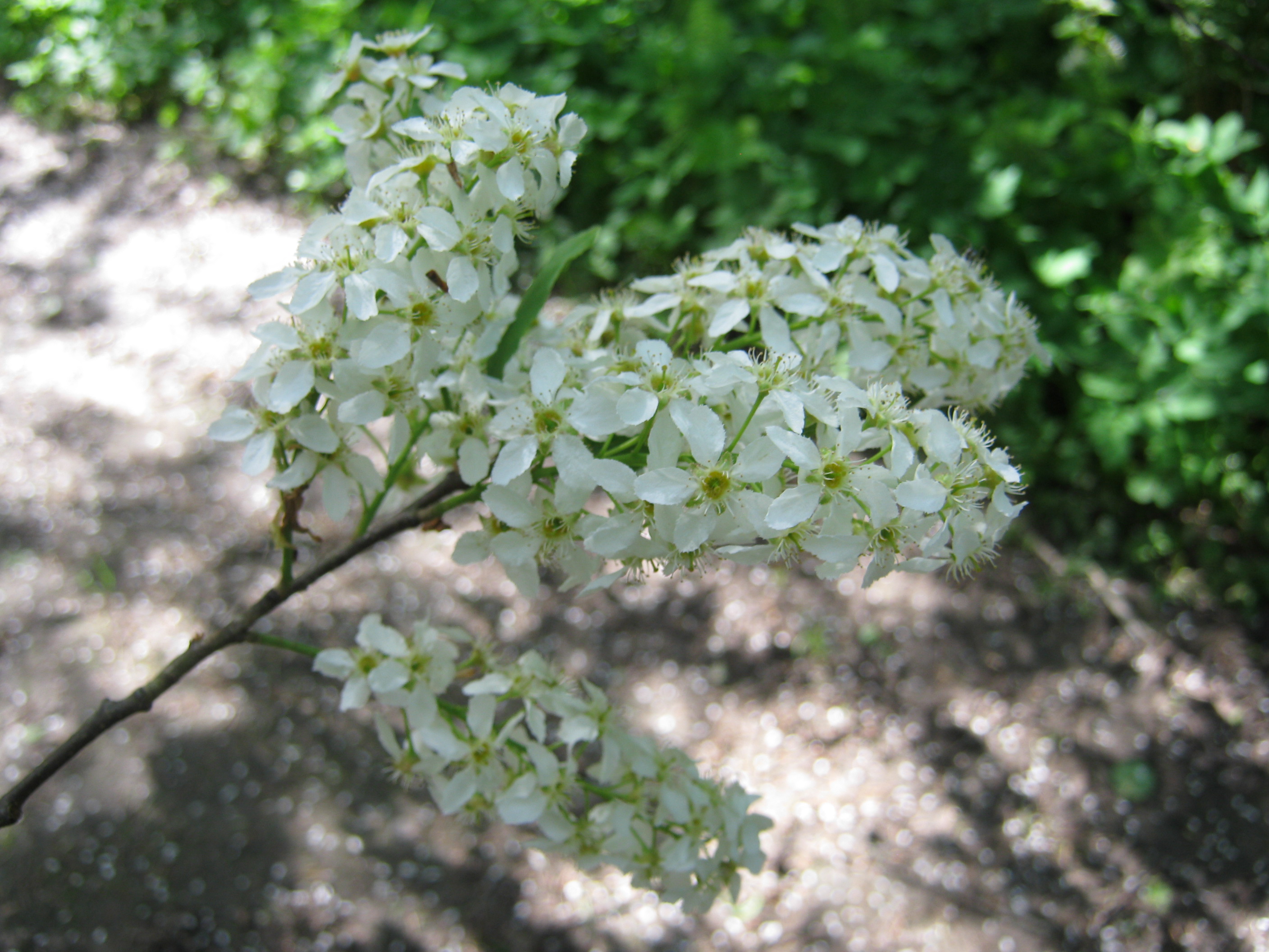________2011______093.jpg