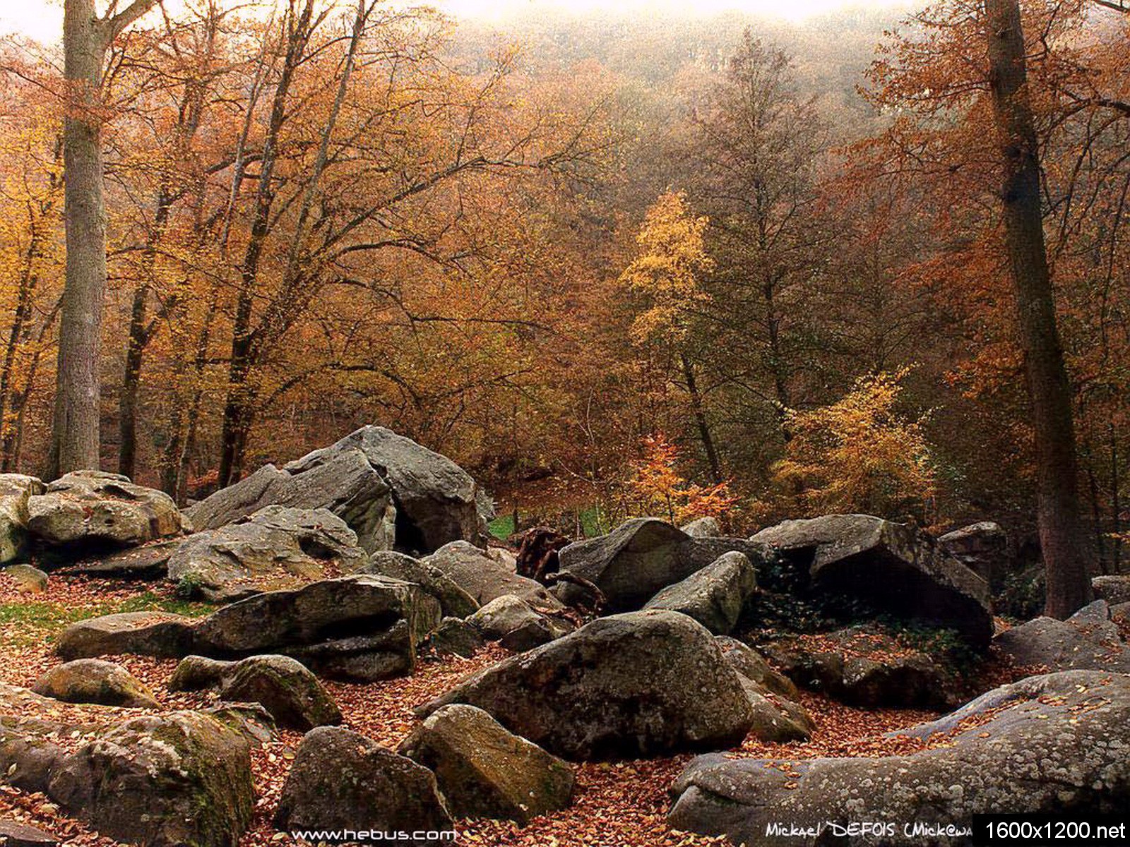 wallpaper_19_40663.jpg