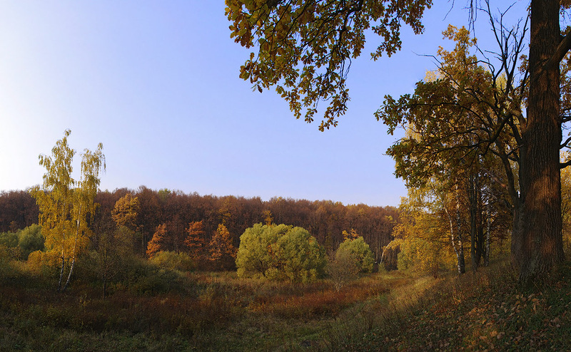 0_7d743_6ca5f449_XL.jpg