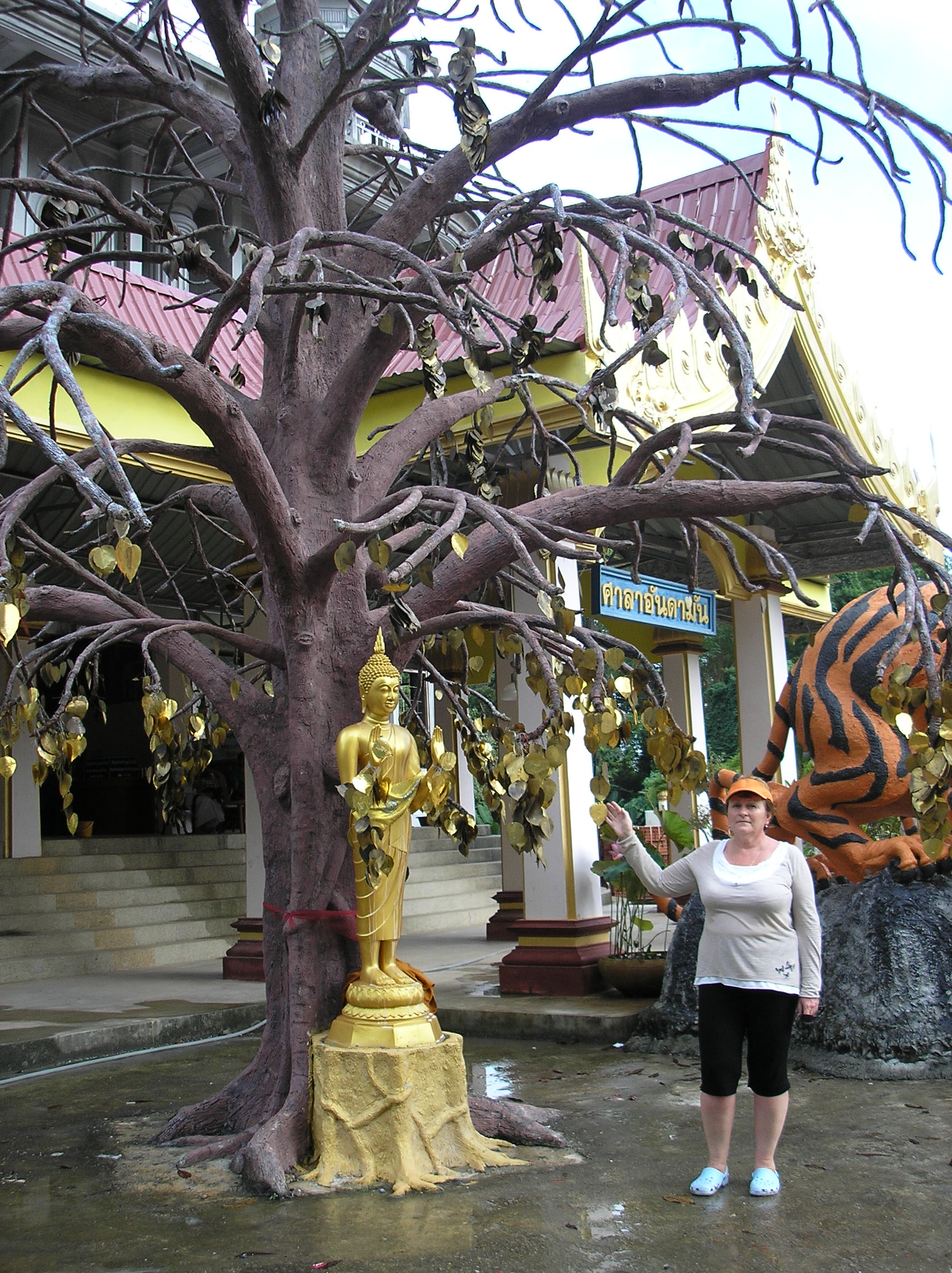 P1010637.JPG
