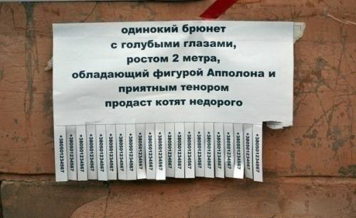 post-1326649935.jpg