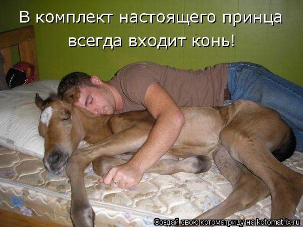 x_359940f9.jpg