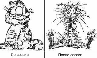 x_0d5c012b.jpg