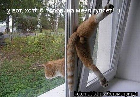 x_dcb20a5a.jpg