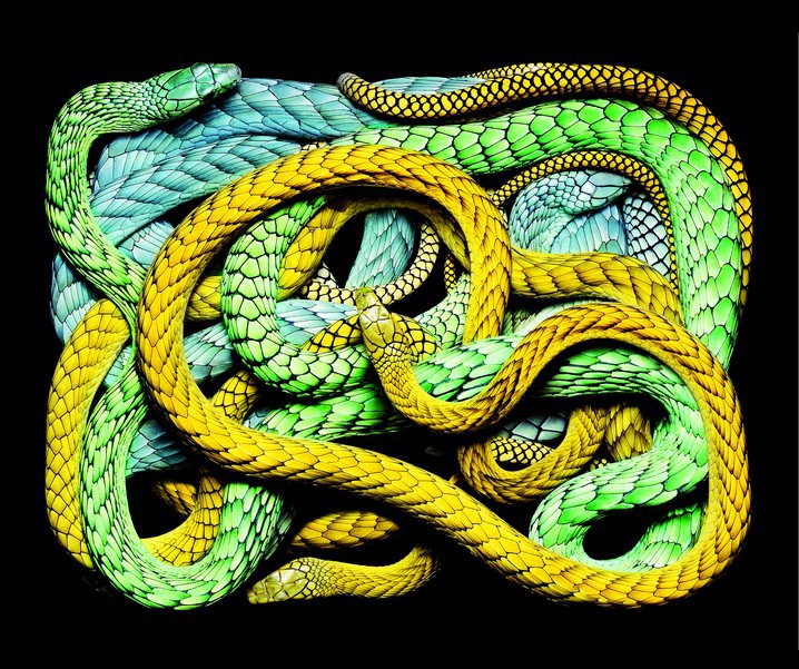 2519_l2.jpg