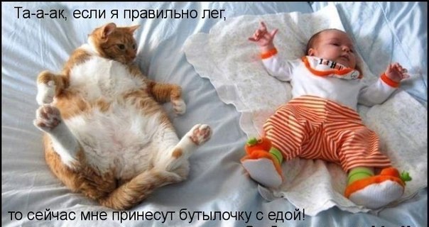 x_4dbc5376.jpg