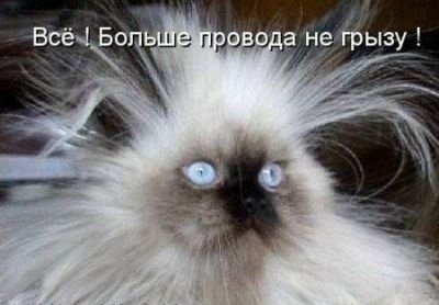 x_b4e4b648.jpg