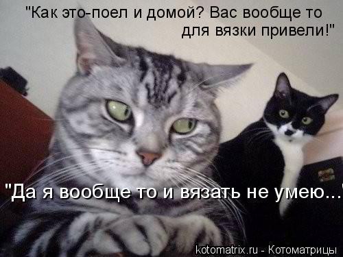 x_e8c57495.jpg