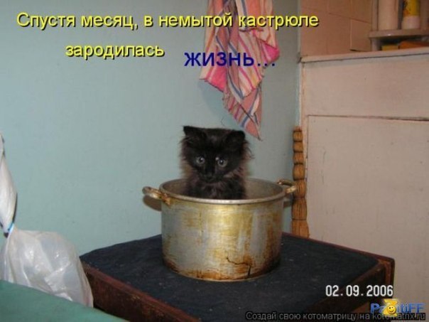 x_9137440a.jpg