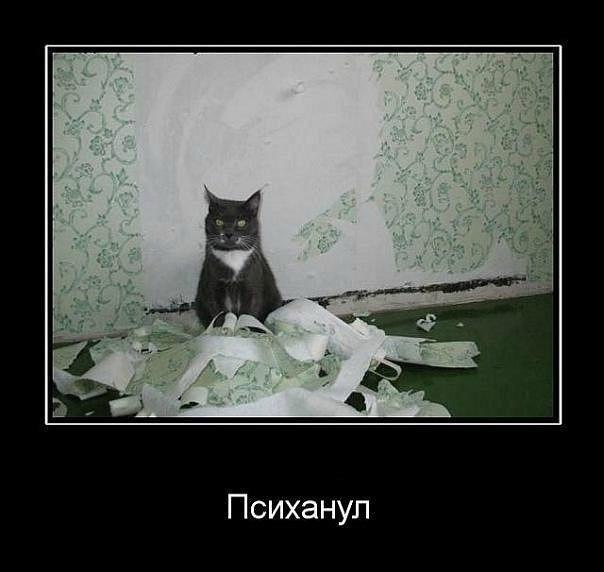 x_842776dd.jpg
