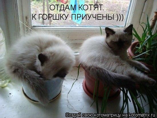x_bd8f0968.jpg