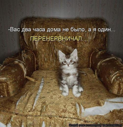 x_a1c0cd70.jpg