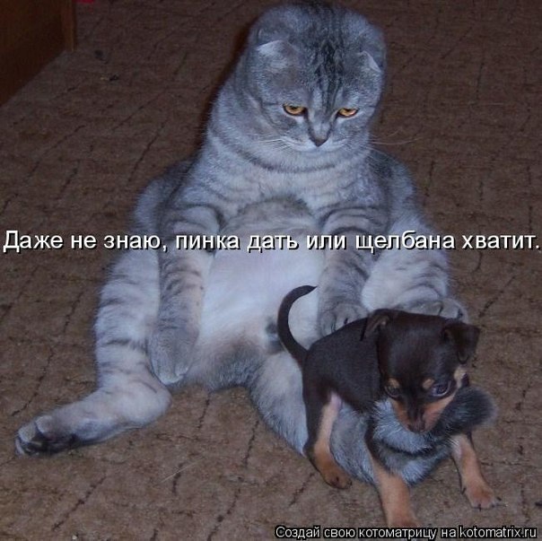 x_9277e926.jpg
