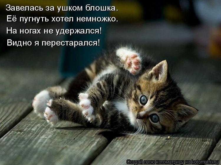 y_25083f10.jpg