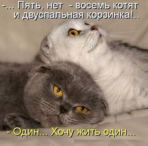 getImageCA67HNVF.jpg