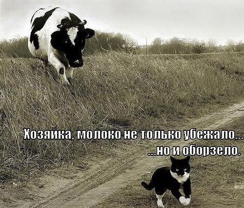 smeshnie_kartinki_1314024081.jpg