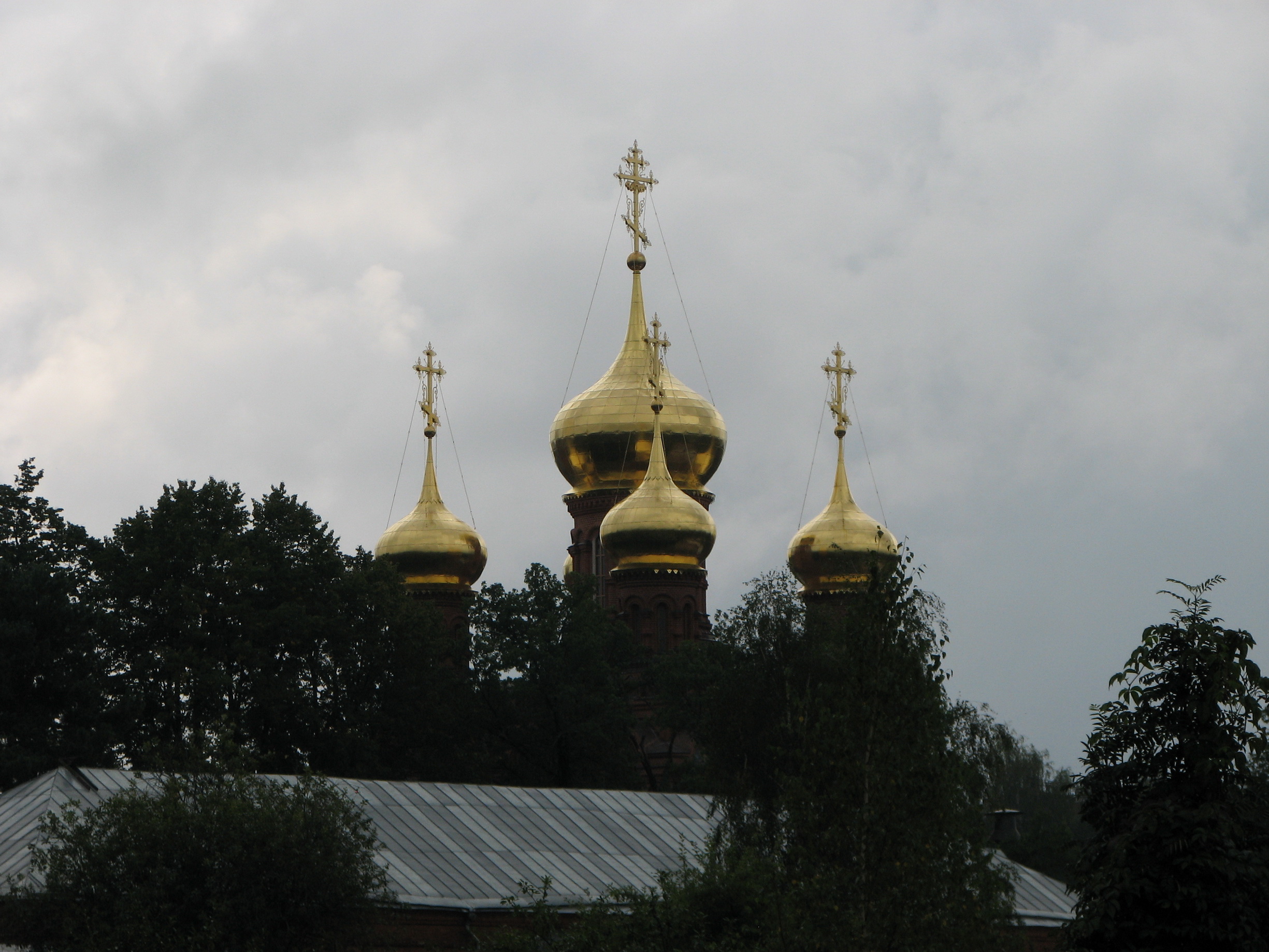 IMG_5459.jpg