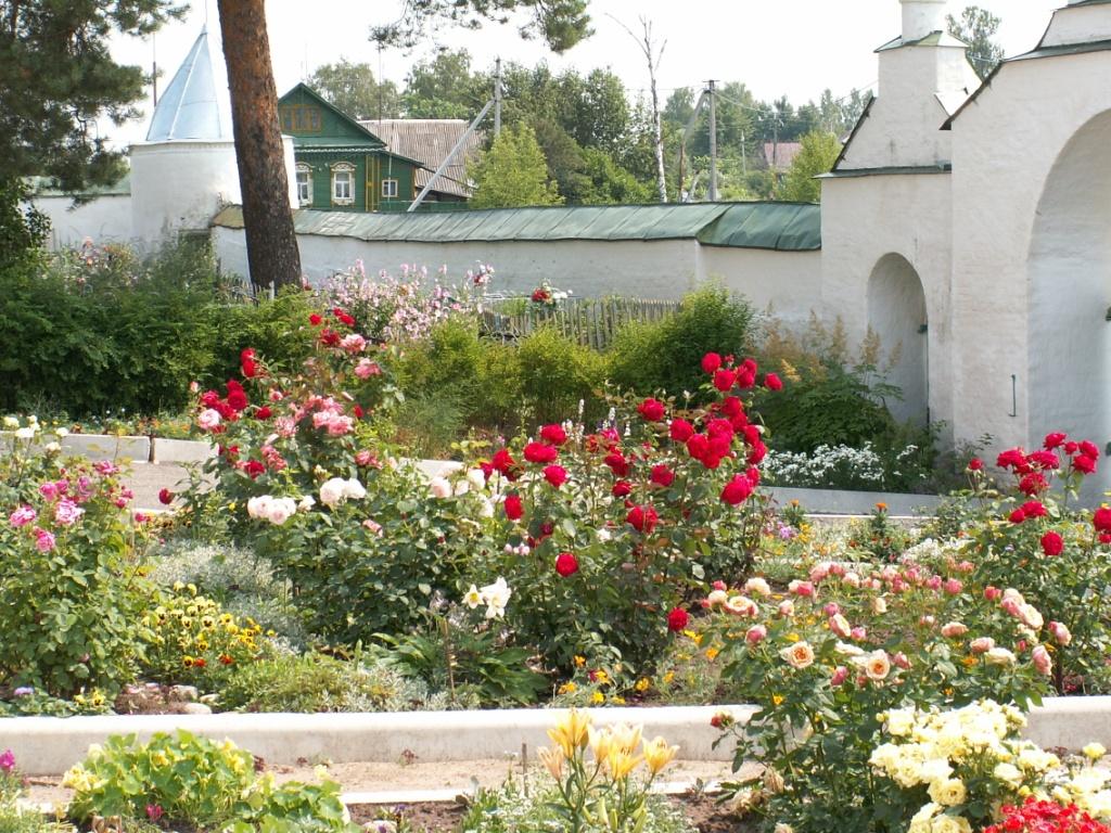 PICT5141.JPG