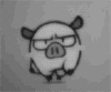101.gif
