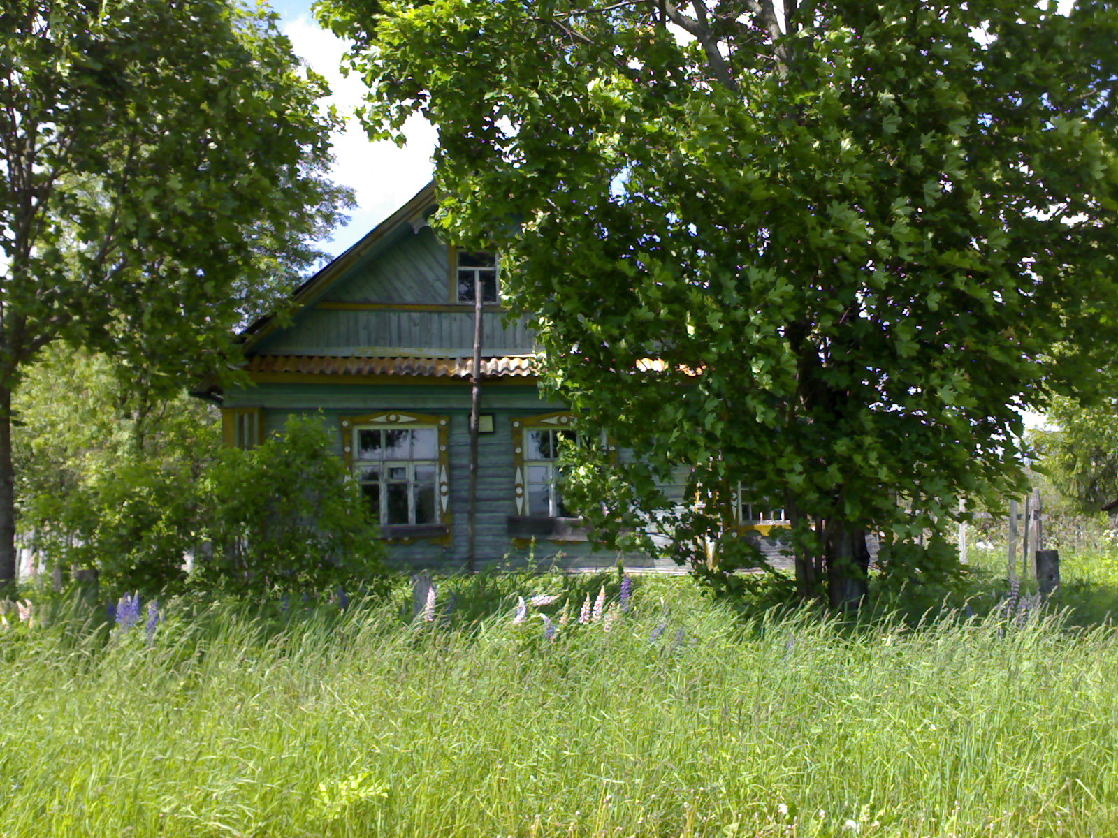 110620081010.jpg