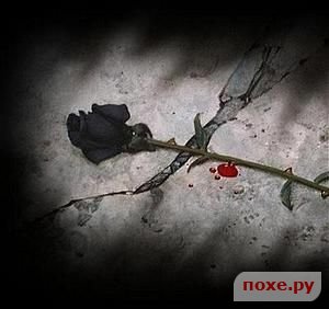 photo45.jpg