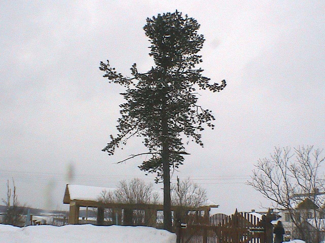 HPNX4234.JPG