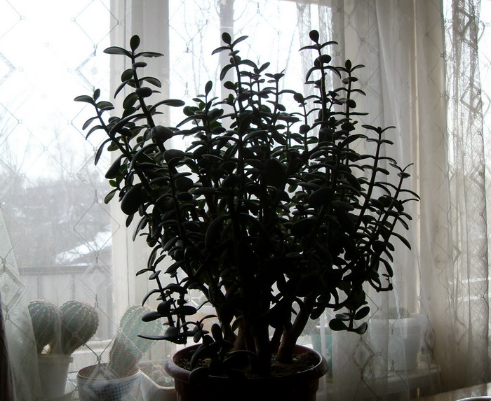 SDC13664.jpg