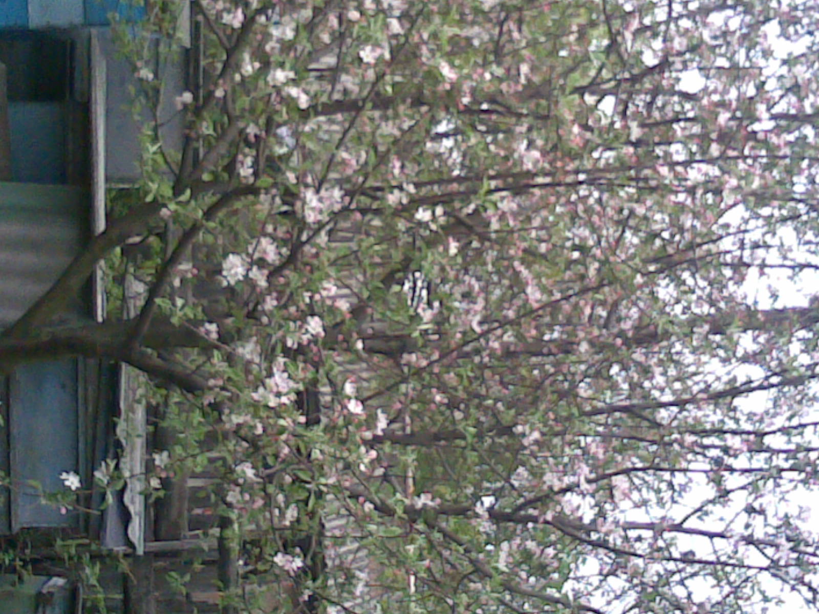 08052009.jpg