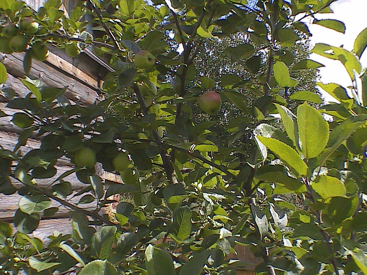 HPNX2439.JPG