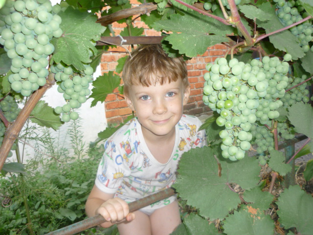 P1000432.JPG