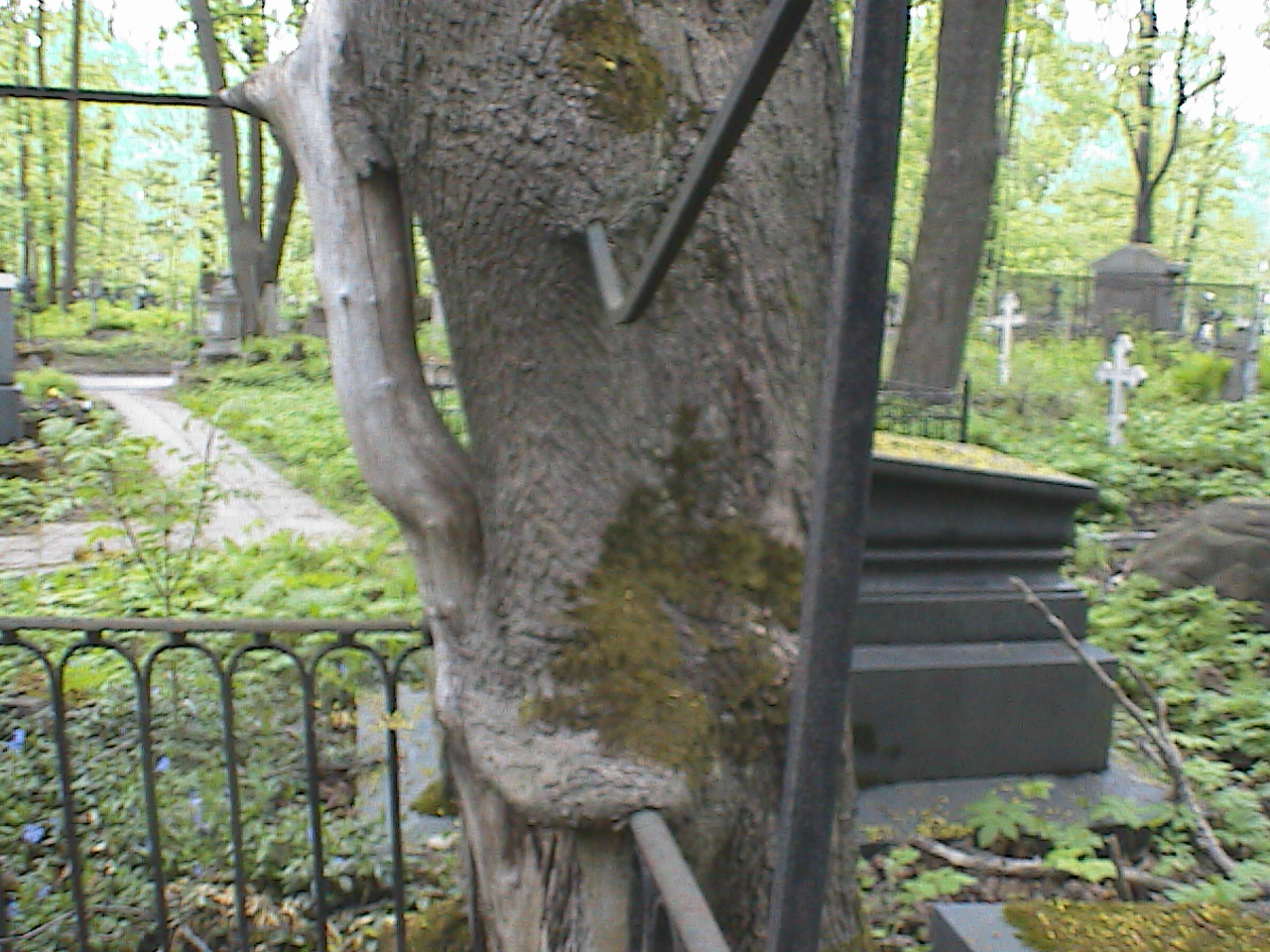 HPNX4608.JPG