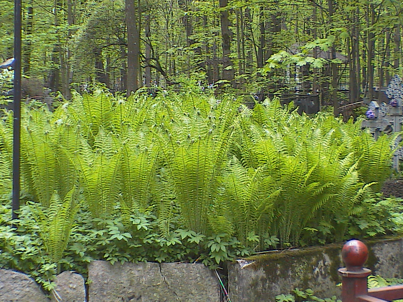 HPNX4605.JPG