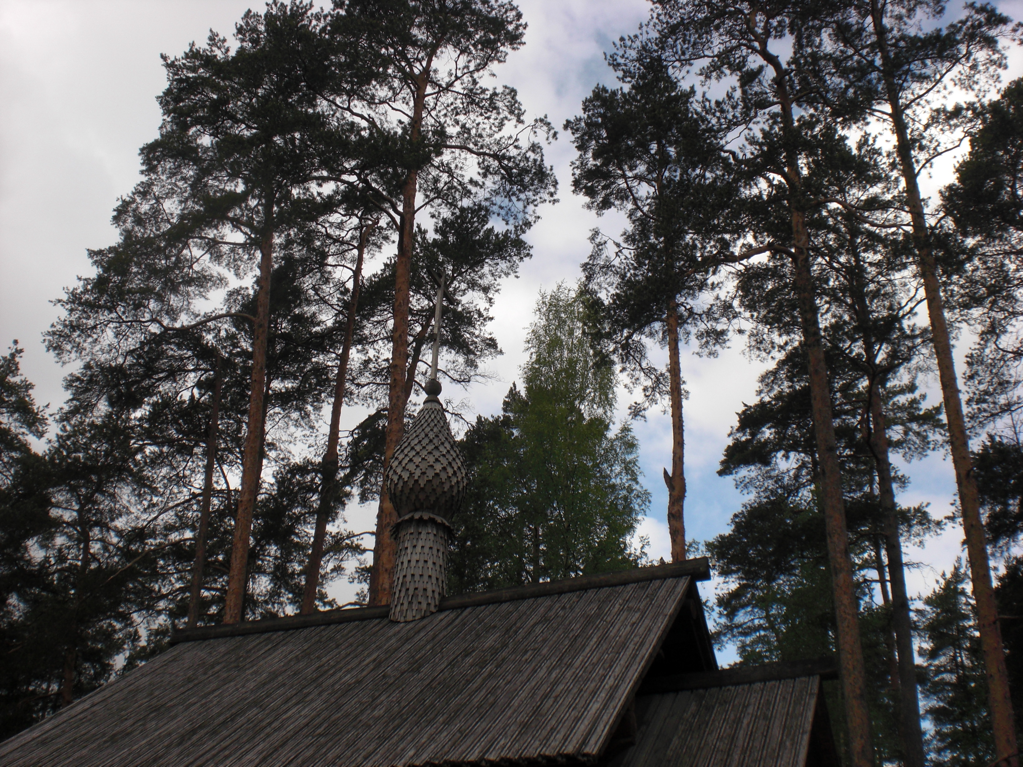 CIMG0229.JPG