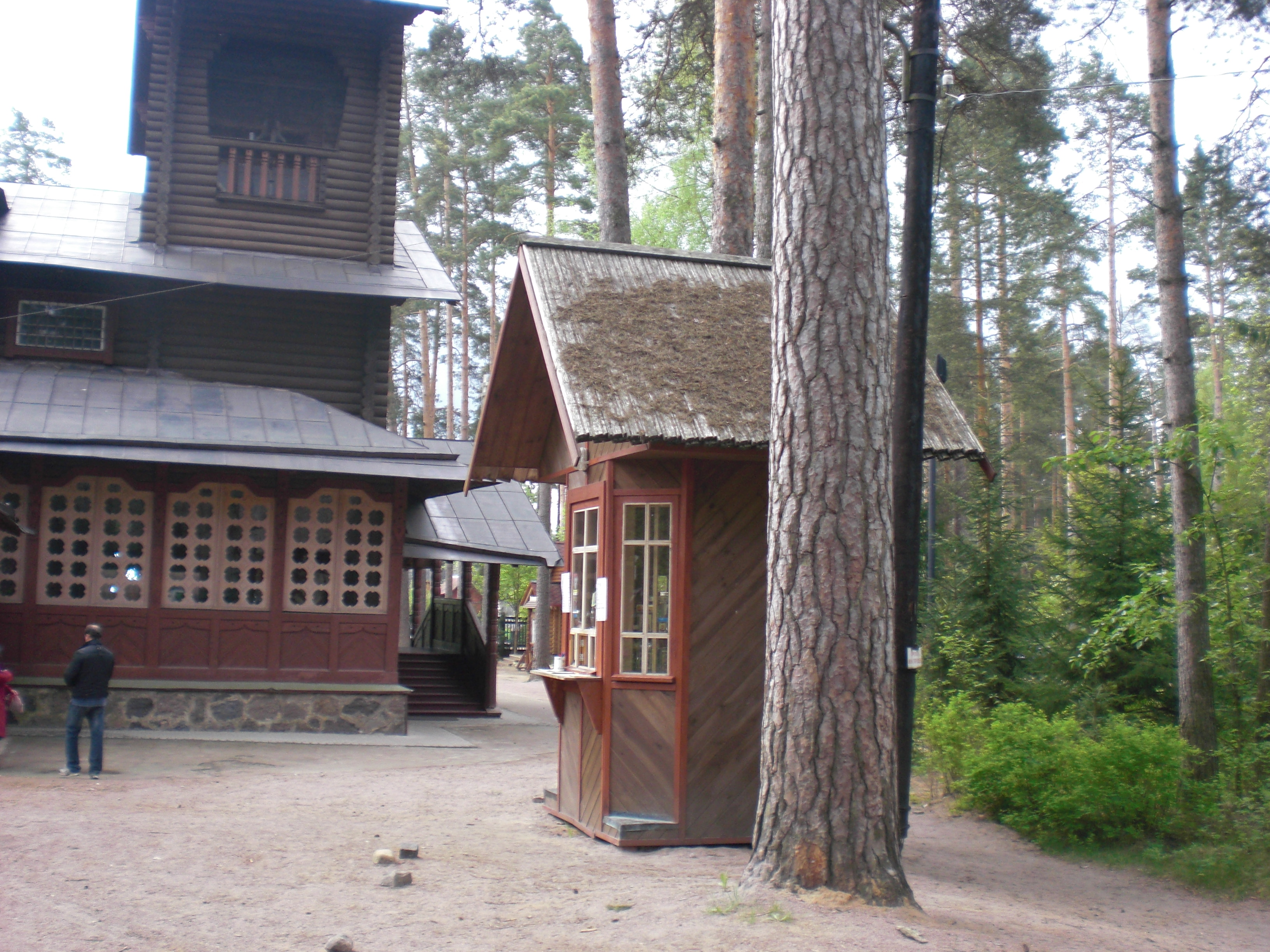 CIMG0246.JPG