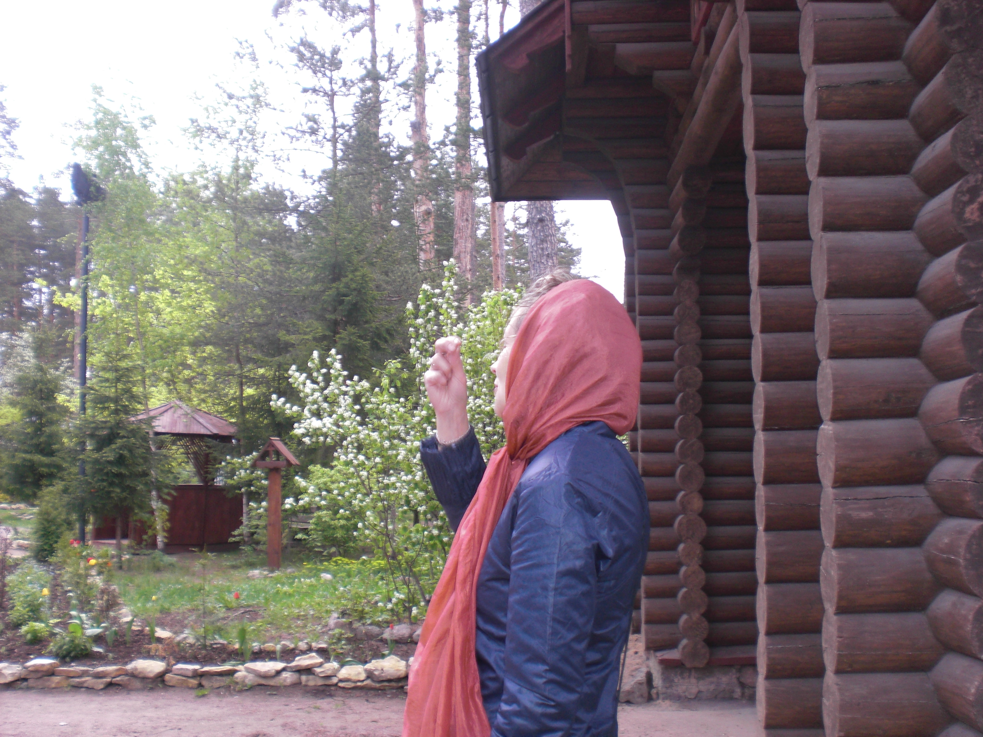 CIMG0265.JPG