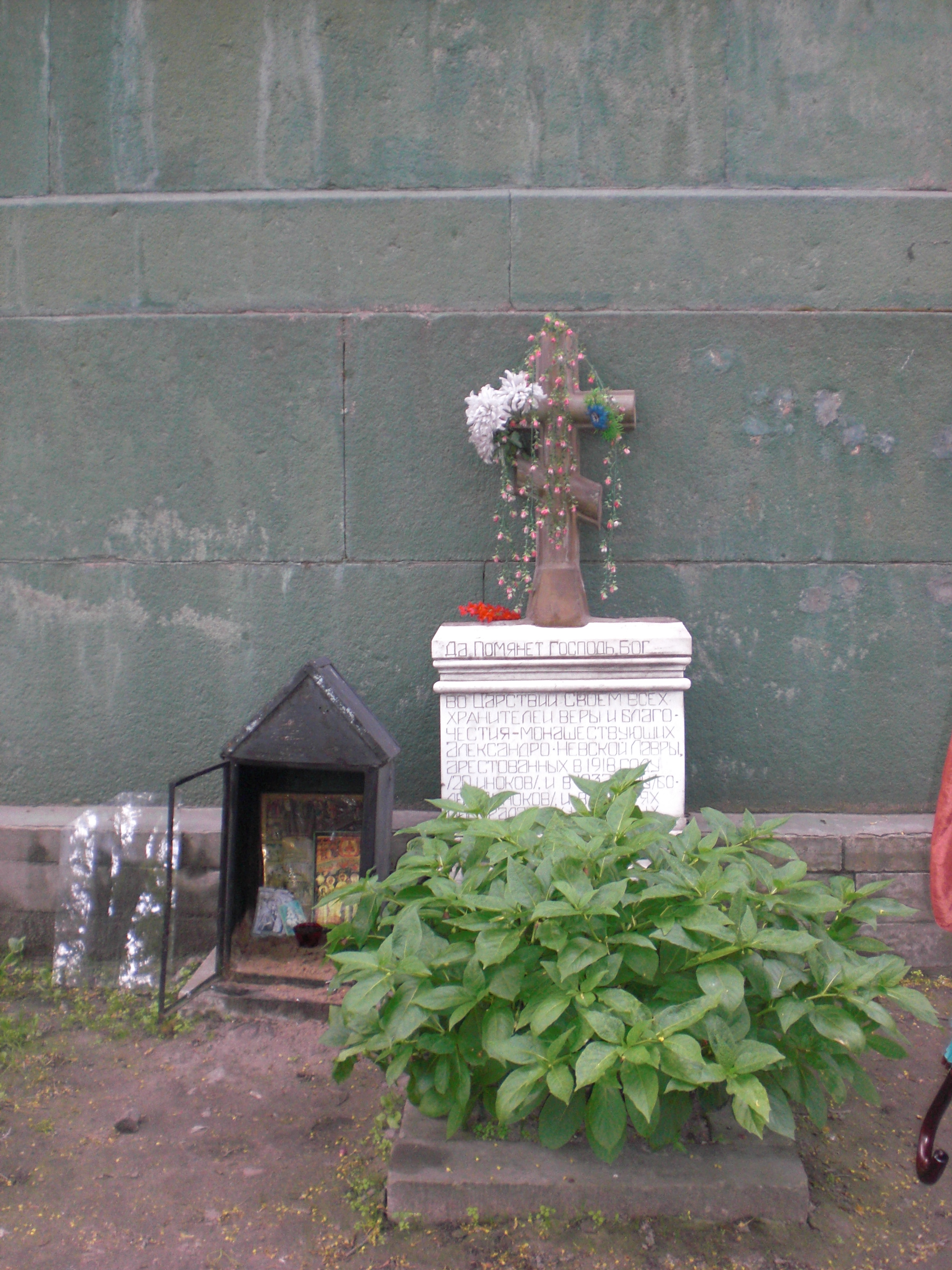 CIMG0298.JPG