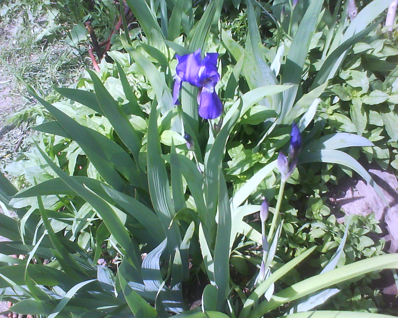 DSC04123.JPG