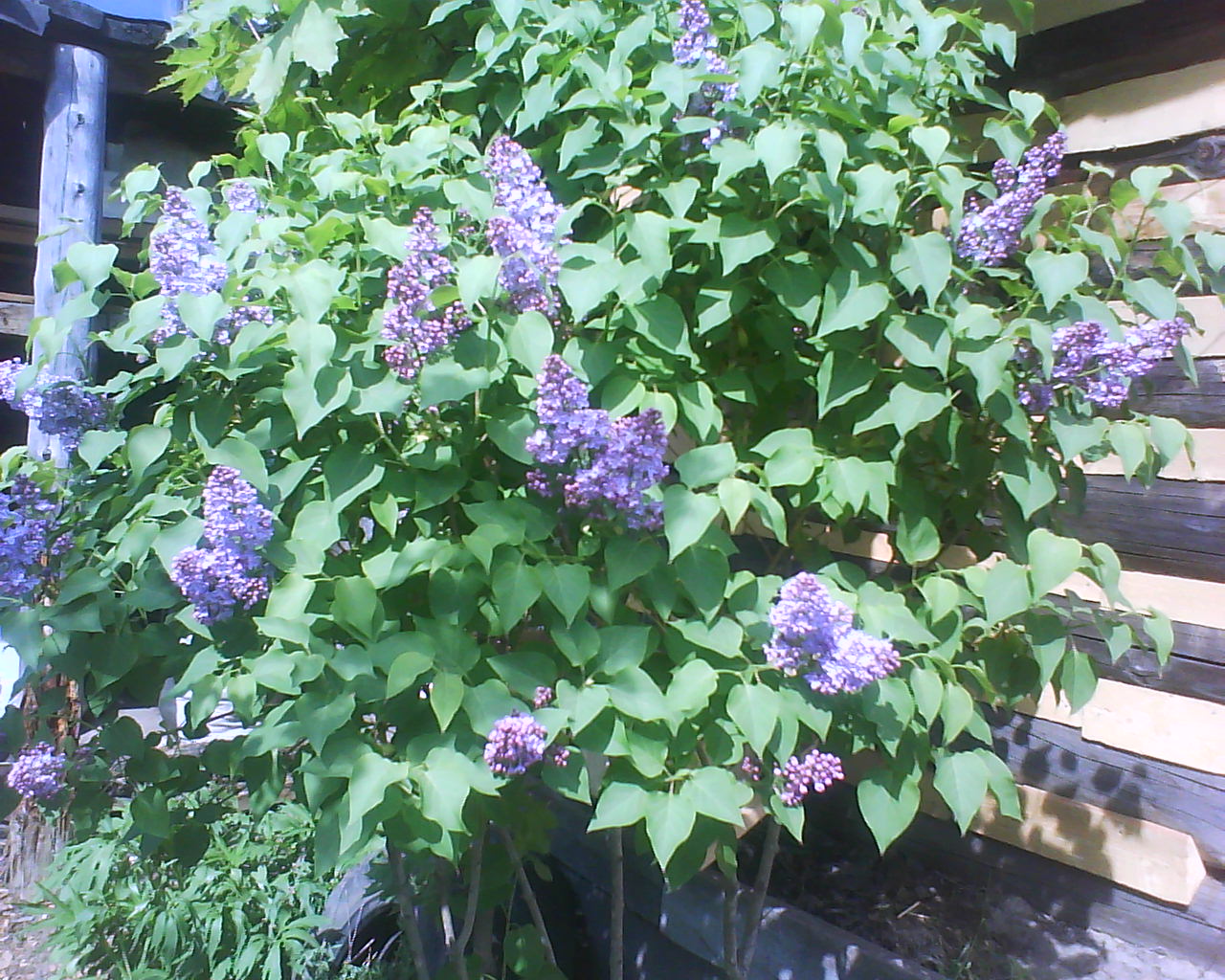 DSC04121.JPG