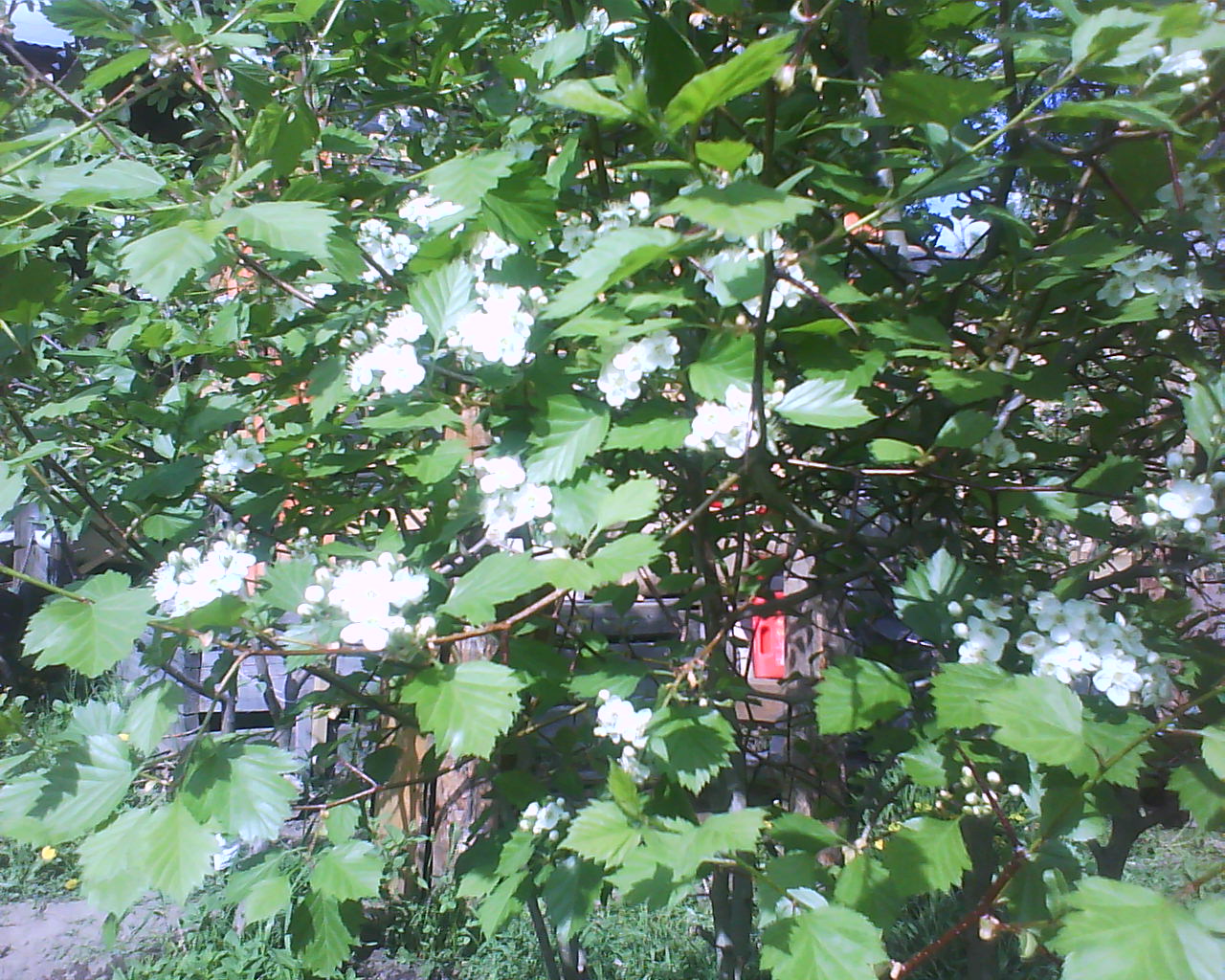DSC04120.JPG