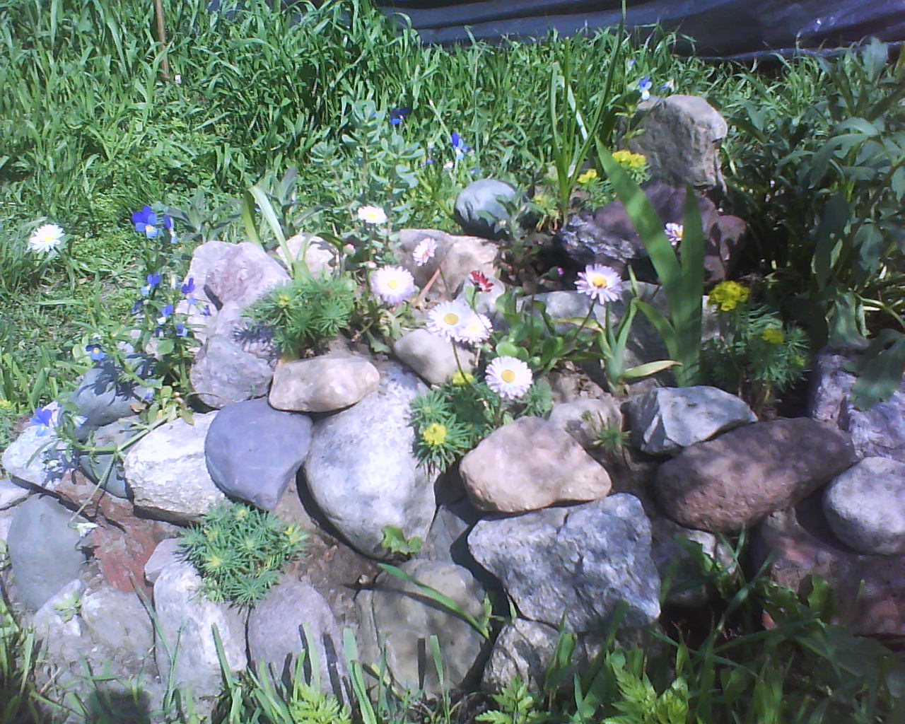 DSC04126.JPG