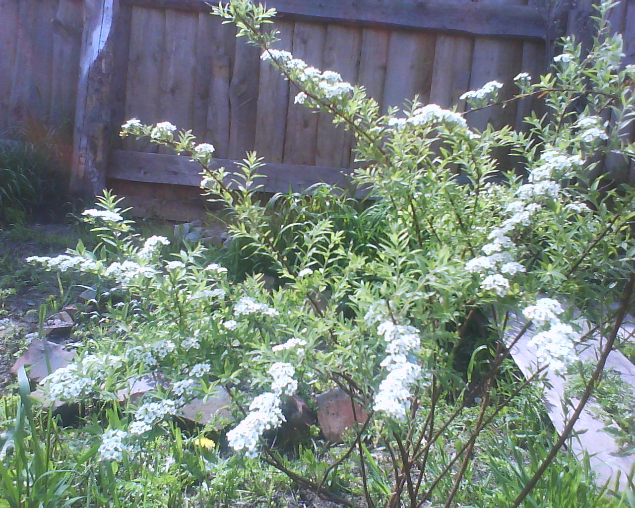 DSC04127.JPG