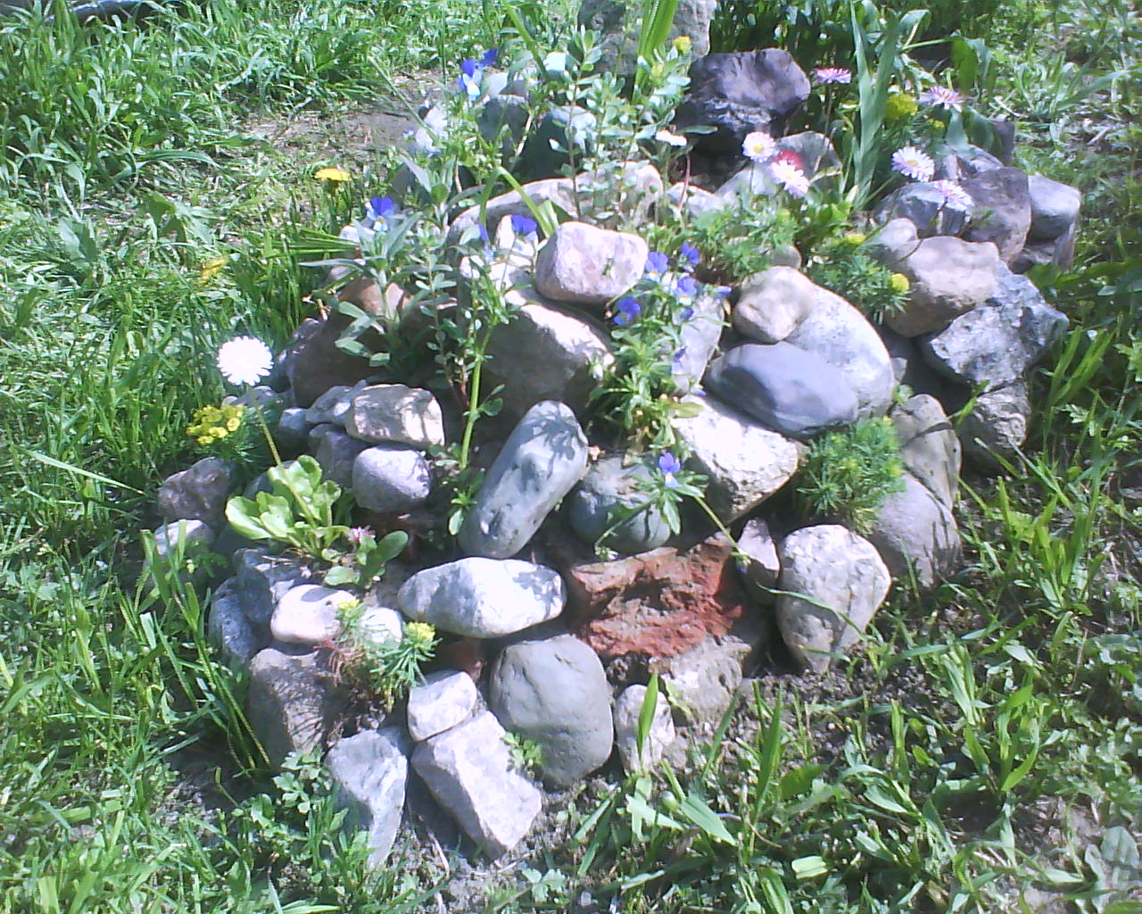 DSC04124.JPG