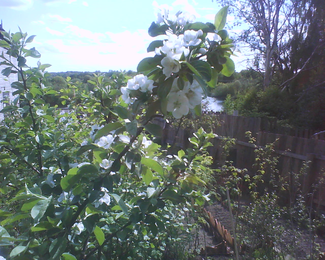 DSC04116.JPG