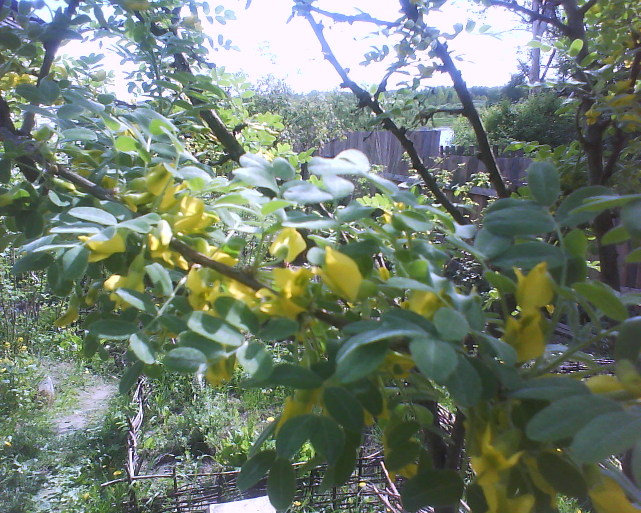DSC04115.JPG
