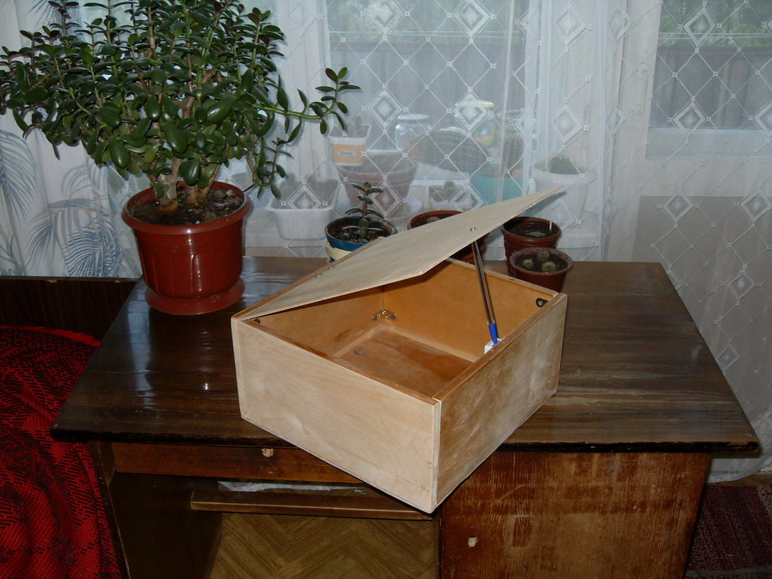 SDC13992.jpg