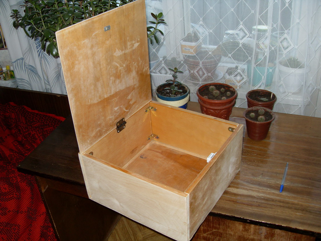 SDC13989.jpg