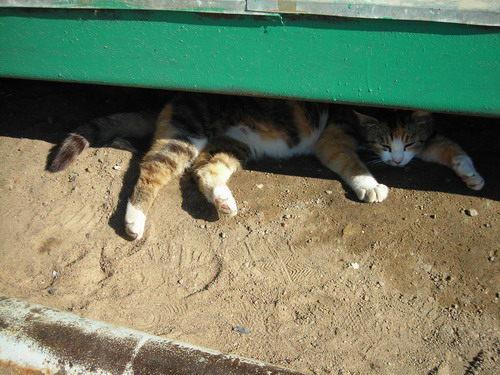 DSCN2235.jpg