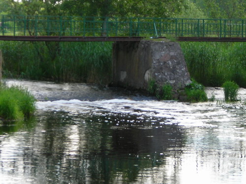 DSCN2211.jpg